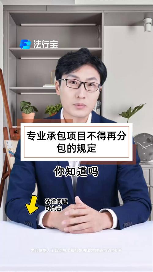 专业承包项目不得再分包的规定